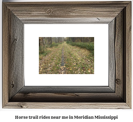 horse trail rides near me in Meridian, Mississippi